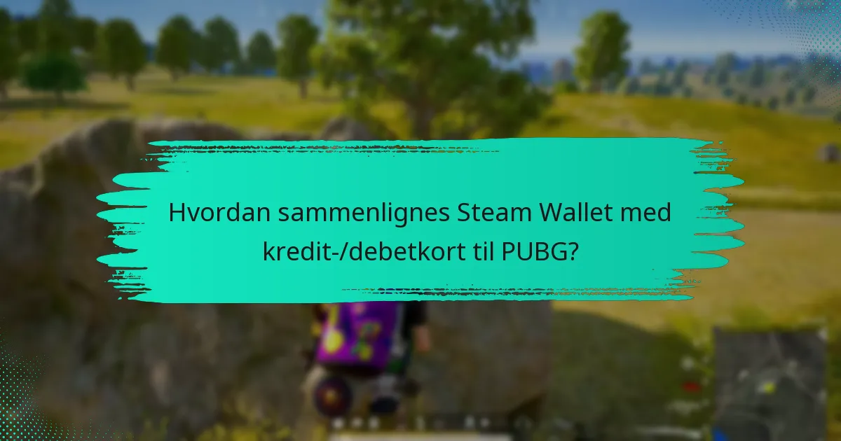 Hvad er ulemperne ved at bruge Steam Wallet til PUBG?