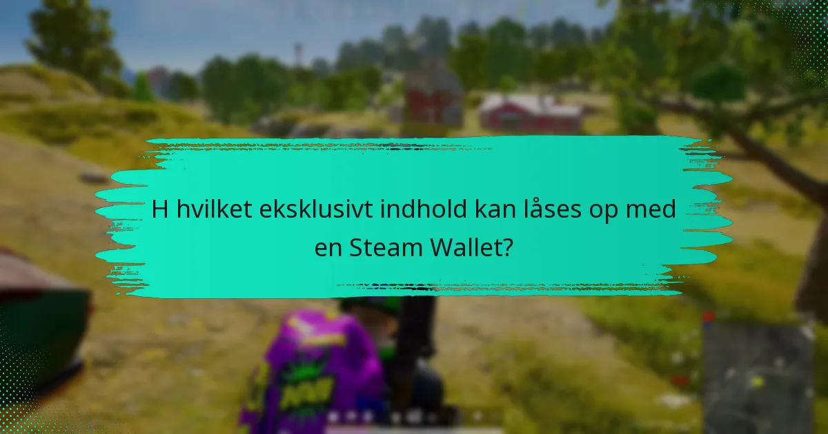 Hvordan fungerer rabatter med Steam Wallet til PUBG?