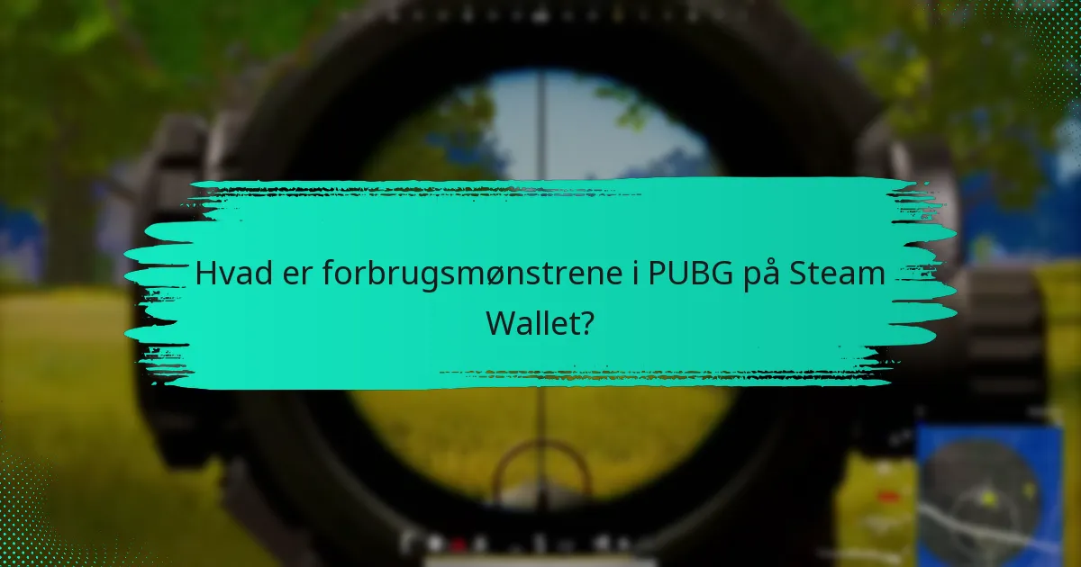 Hvem er de typiske PUBG-spillere, og hvad er deres adfærd?