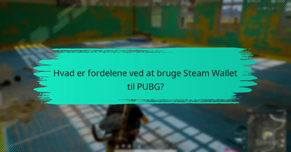 Hvordan sammenlignes Steam Wallet med kredit-/debetkort til PUBG?