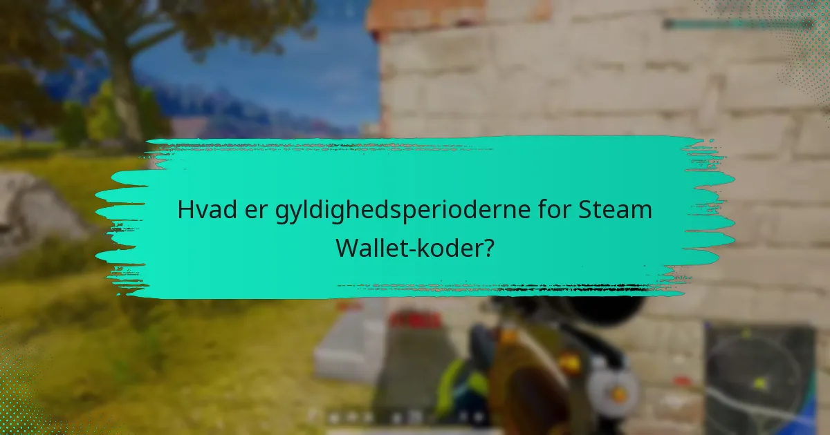 Hvad er gyldighedsperioderne for Steam Wallet-koder?