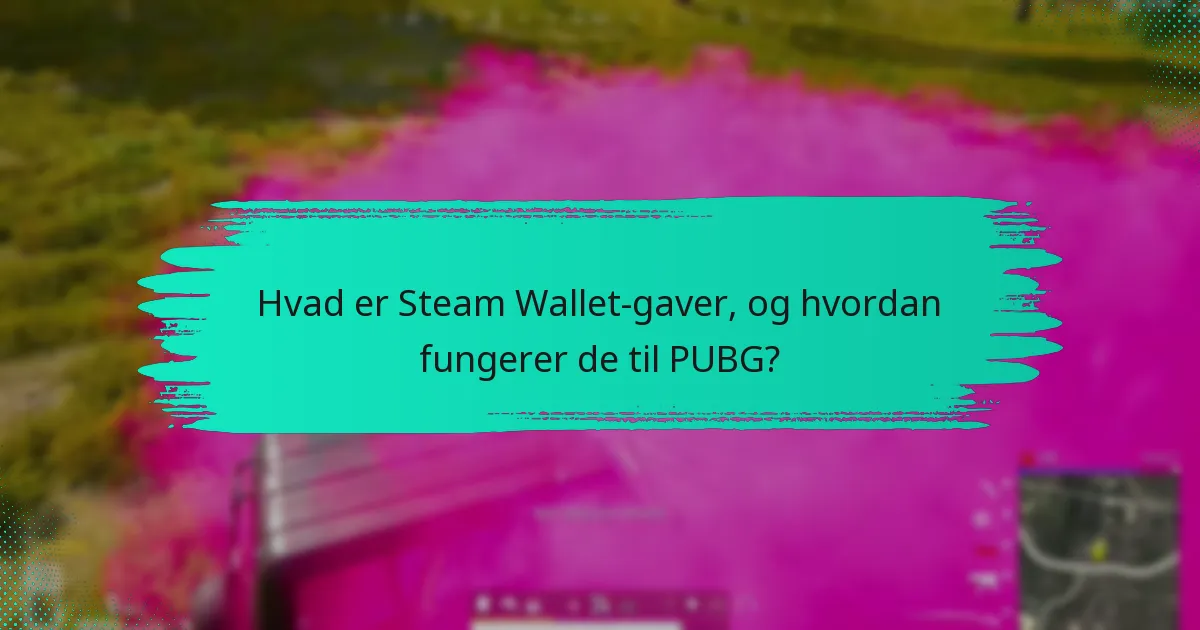 Hvordan modtager jeg Steam Wallet-gaver til PUBG?