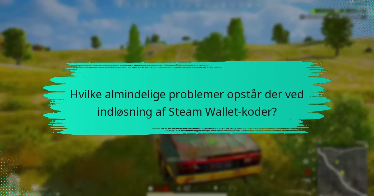 Hvilke regionale begrænsninger gælder for Steam Wallet-koder?