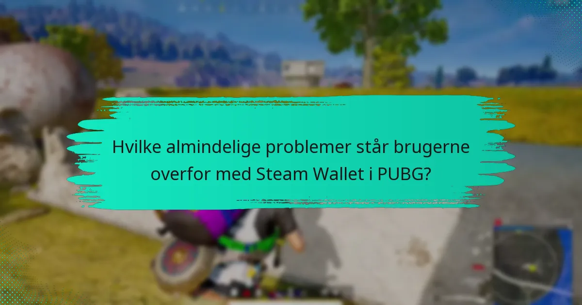 Hvordan sammenlignes Steam Wallet med andre betalingsmetoder til PUBG?
