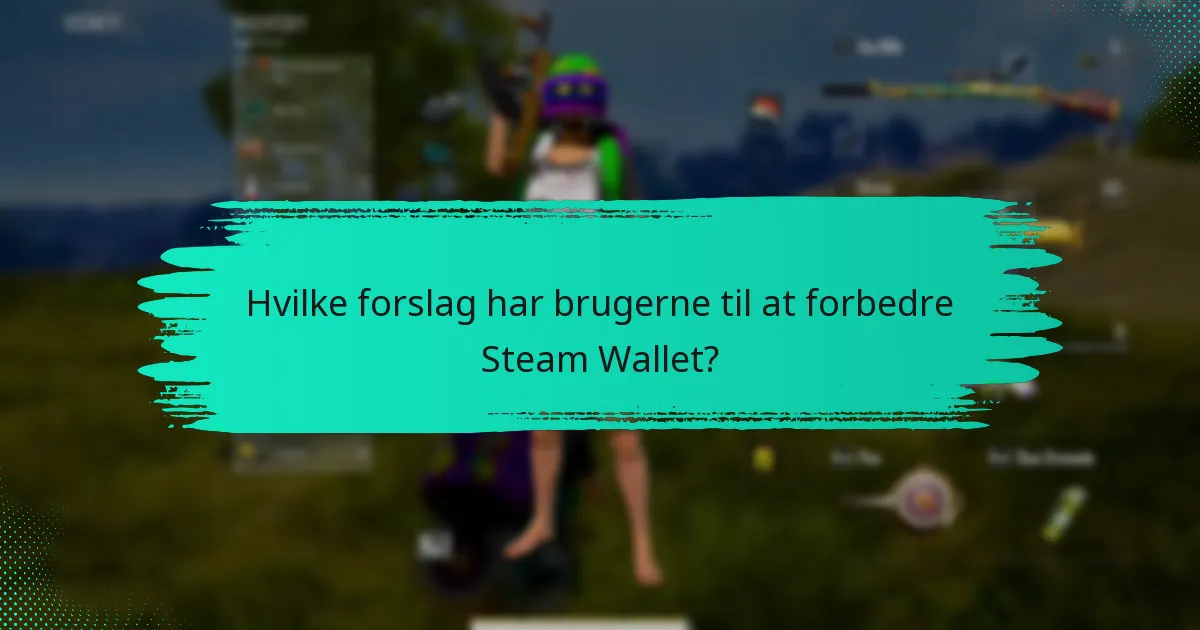 Hvilke almindelige problemer står brugerne overfor med Steam Wallet i PUBG?