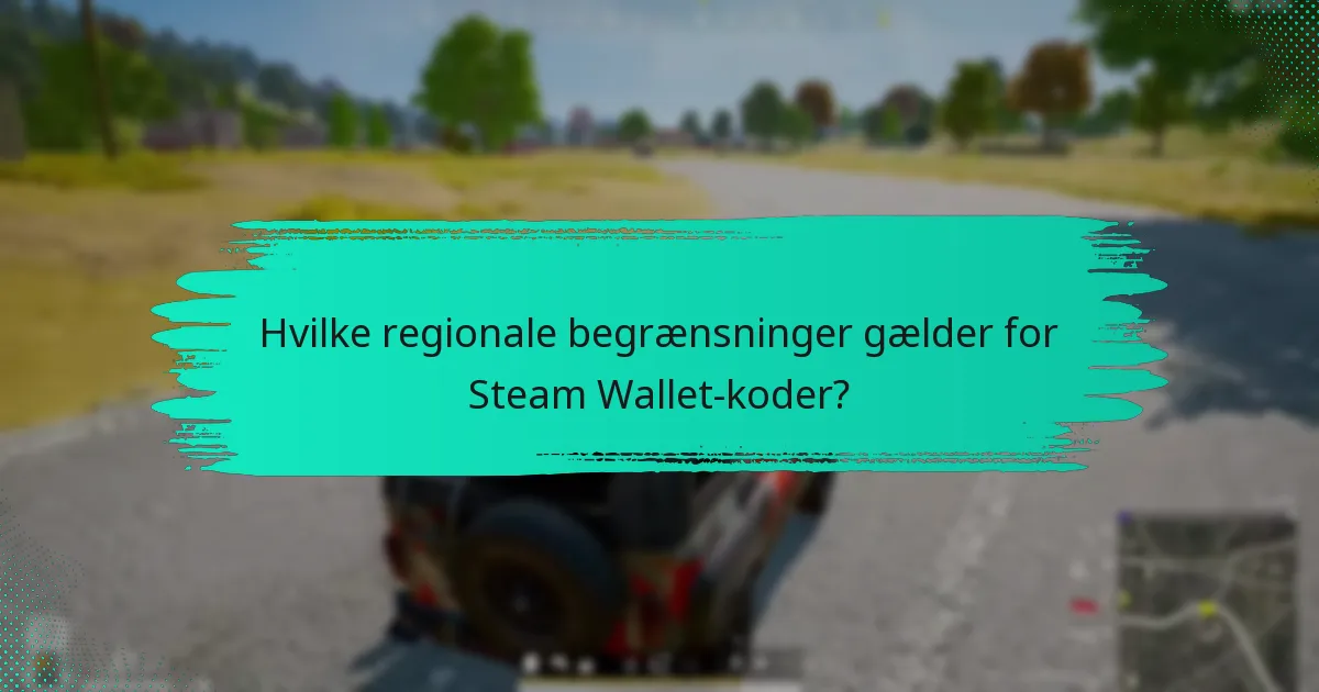 Hvor kan jeg købe Steam Wallet-koder til PUBG?