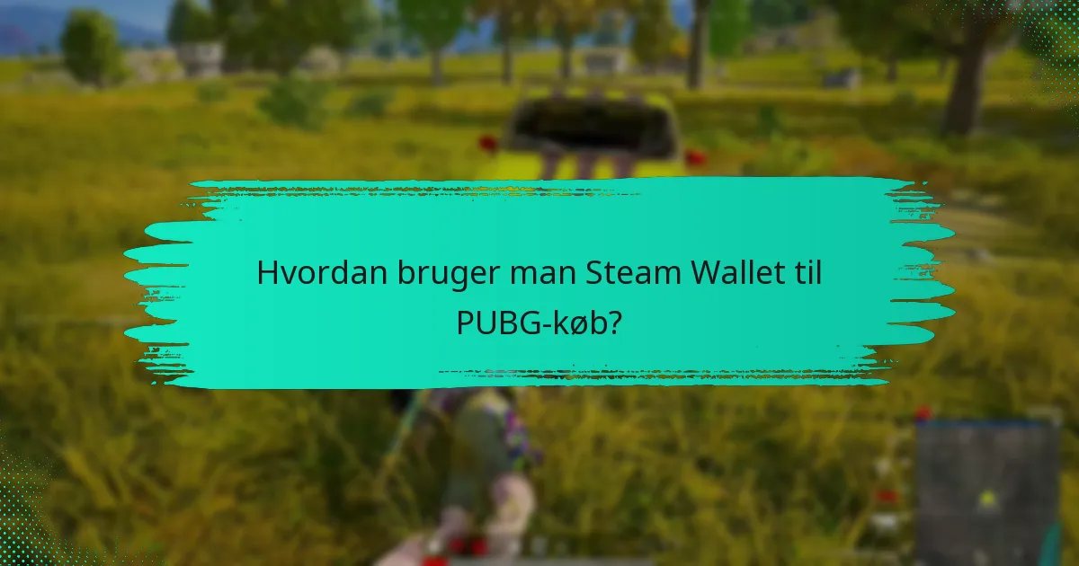 Hvordan bruger man Steam Wallet til PUBG-køb?
